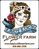 Lady Luck Flower Farm