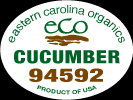 eco Cucumber